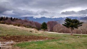 IMG_20140406_100457894_HDR[1]