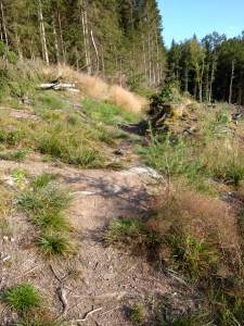 img_20160808_190739478