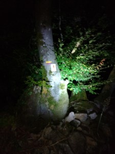 img_20160809_022439744